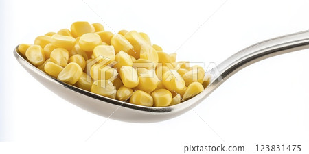 Corn kernels on metal spoon isolated on white background with clipping path 123831475