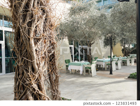 Cafe tables and chairs outside in Antalya Turkey hotel resort Cafe tables and chairs outside in Antalya Turkey hotel resort 123831493
