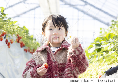 Girl enjoying strawberry hunting 123831581