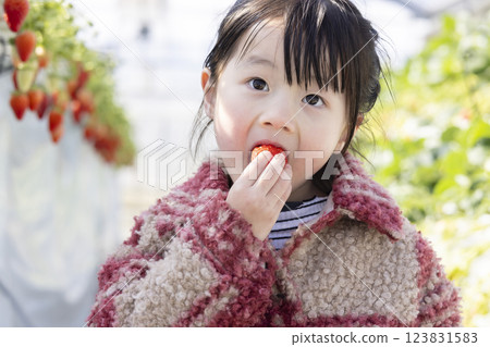 Girl enjoying strawberry hunting 123831583