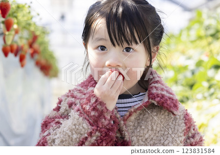 Girl enjoying strawberry hunting Girl enjoying strawberry hunting 123831584