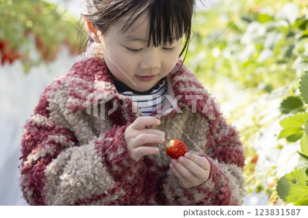 Girl enjoying strawberry hunting Girl enjoying strawberry hunting 123831587