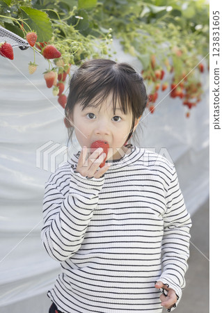 享受草莓狩獵的女孩 123831605