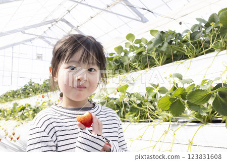 Girl enjoying strawberry hunting 123831608
