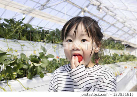 Girl enjoying strawberry hunting Girl enjoying strawberry hunting 123831615