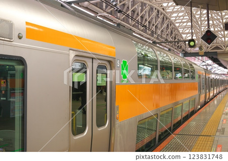 Chuo Line Green Car Mark Chuo Line Green Car Mark 123831748