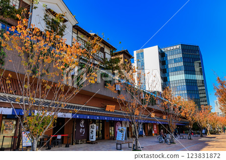 在東京都江東區豐洲市場外開業的「豐洲」正迎接眾多顧客。 123831872