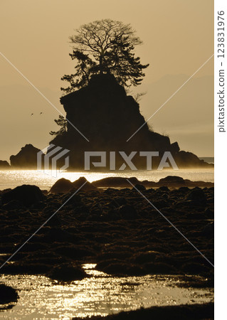 富山觀景點：日出時的富山灣與女內岩的輪廓 123831976