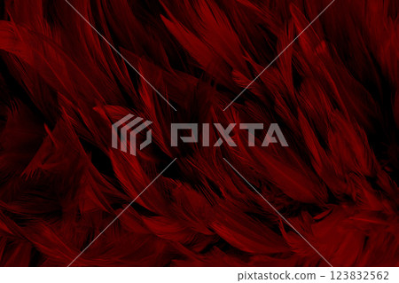 Beautiful dark red bird feathers pattern texture background. 123832562