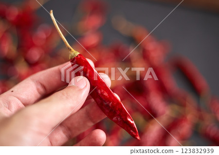 Dried chilli peppers 123832939