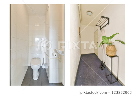 A clean and contemporary bathroom space with white tiles and minimal decor, paired with a stylish hallway featuring decorative plants and furnishings. 123832963