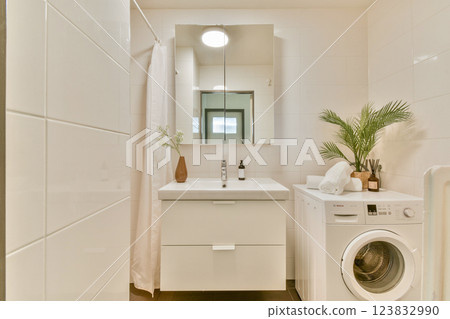 A sleek, modern bathroom featuring a simplistic design with a vanity, mirror, potted plant, and a washing machine, emphasizing cleanliness and functionality. 123832990
