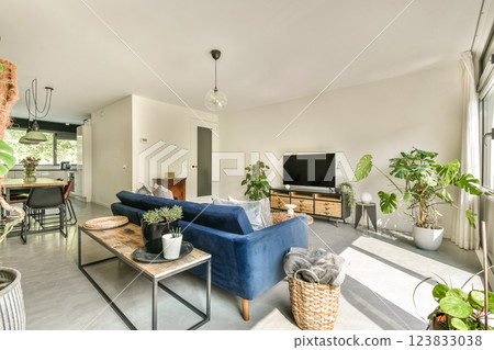 A stylish modern living room featuring a comfortable blue sofa, decorative plants, and minimalist decor, creating a relaxing atmosphere in a bright space. A stylish modern living room featuring a comfortable blue sofa, decorative plants, and minimalist decor, creating a relaxing atmosphere in a bright space. 123833038