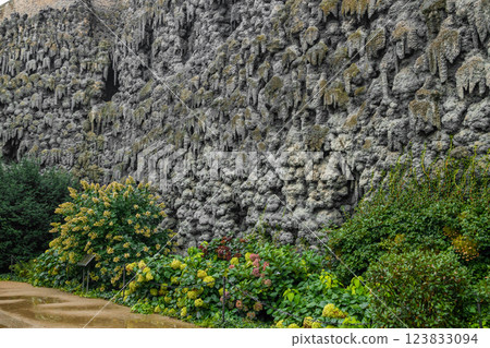 Garden landscape design. Decorative wall made of dark gray stone blocks or concrete cement bricks. Garden decorative trimmed shrubs or bushes are fenced with rocky stones masonry. 123833094