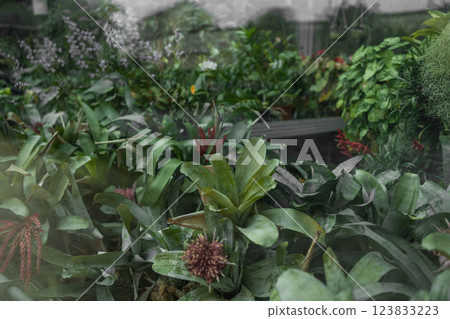 Vertical garden with lush green plants in black pots on a metal shelf, against a rustic brick and glass wall background. 123833223