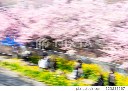 【河津櫻花】京急列車在櫻花樹間疾馳 【河津櫻花】京急列車在櫻花樹間疾馳 123833267