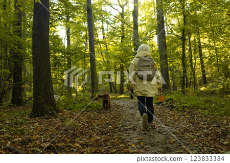 Senior woman tourist backpacker walking the Irish Setter dog in the park forest. travel concept.Back view shot Senior woman tourist backpacker walking the Irish Setter dog in the park forest. travel concept.Back view shot 123833384