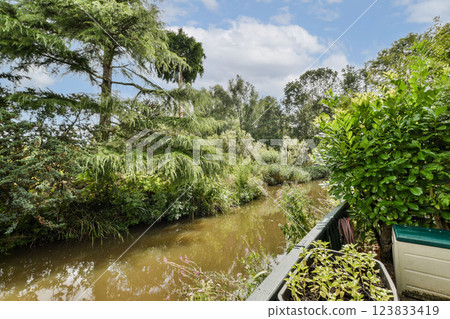 A serene river flows gently alongside vibrant green trees and plants, creating a peaceful natural environment perfect for relaxation. 123833419