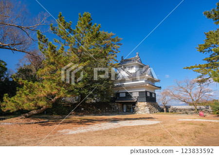 Toyohashi Park, Yoshida Castle Iron Tower, Toyohashi City, Aichi Prefecture 123833592