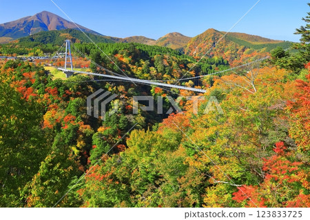 【大分縣】九重夢大吊橋與晴天的紅葉 123833725