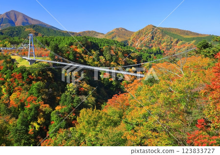 【大分縣】九重夢大吊橋與晴天的紅葉 【大分縣】九重夢大吊橋與晴天的紅葉 123833727