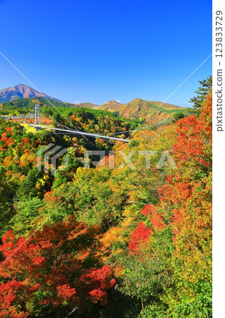 【大分縣】九重夢大吊橋與晴天的紅葉 【大分縣】九重夢大吊橋與晴天的紅葉 123833729