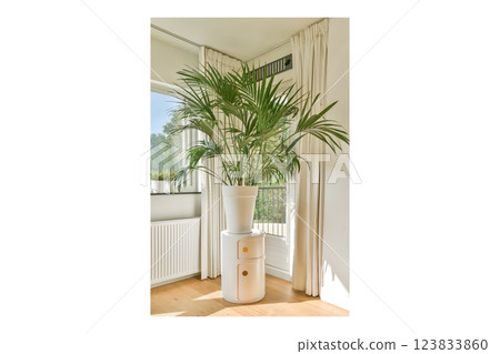 A stylish indoor arrangement featuring a tall plant in a sleek white pot, complemented by contemporary decor and natural light streaming through a window. A stylish indoor arrangement featuring a tall plant in a sleek white pot, complemented by contemporary decor and natural light streaming through a window. 123833860