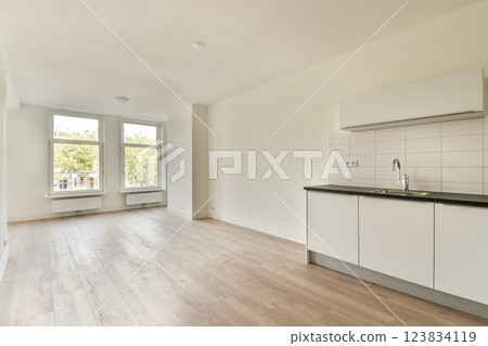 A bright, modern kitchen featuring sleek cabinetry and minimalistic design, complemented by large windows that bring in natural light. The open layout enhances space. 123834119