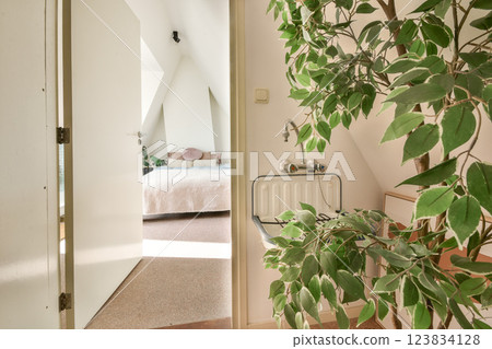 A glimpse into a contemporary interior featuring lush indoor plants and a softly lit bedroom ambiance. Perfect blend of nature and design in a cozy setting. A glimpse into a contemporary interior featuring lush indoor plants and a softly lit bedroom ambiance. Perfect blend of nature and design in a cozy setting. 123834128