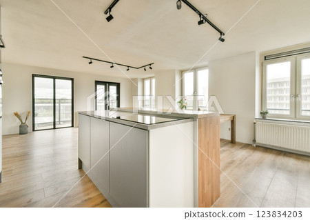 Stylish and spacious apartment interior featuring large windows, wooden flooring, and modern design elements that create a welcoming atmosphere. 123834203