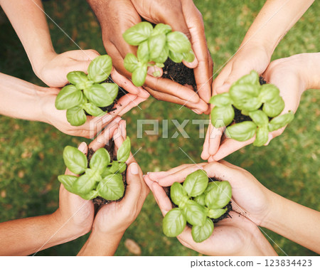 Environment, earth day and hands of a global community using teamwork, collaboration and diversity for sustainability. Carbon capture, accountability and diverse group together for growth development 123834423