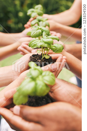 Hands, holding plants and nature soil in care for the environment, community and earth outside. Hand of people working together in hope, nurture and support for a sustainable future and conservation Hands, holding plants and nature soil in care for the environment, community and earth outside. Hand of people working together in hope, nurture and support for a sustainable future and conservation 123834500