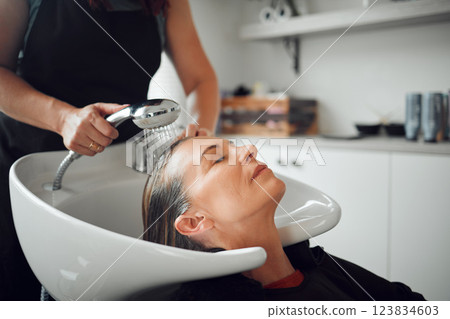 Hair salon, shampoo and customer woman for professional care, hairdresser service in startup shop, Beauty process, water cleaning and client hair care treatment for hairstylist small business career Hair salon, shampoo and customer woman for professional care, hairdresser service in startup shop, Beauty process, water cleaning and client hair care treatment for hairstylist small business career 123834603