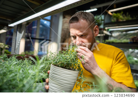 Focused florist inspect rosemary bush, crushing leaves and inhaling aromatic scent in mini garden 123834690