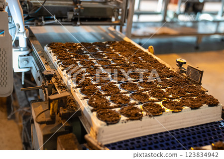 Pots receive even soil mixture in automatic pallet fill process in laboratory. Low labor setup 123834942