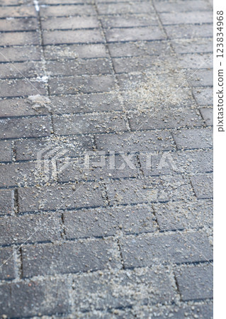 Salt covers sidewalk, street in winter to prevent icy hazards. Urban ice treatment, fall prevention 123834968