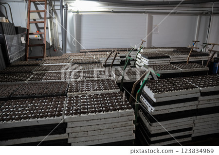 Pallets with soil prepared for transfer to controlled climate chamber for best moisture conditions 123834969