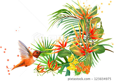 Hummingbird 123834975