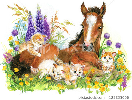 Horse foal. Hand drawn style print. Watercolor illustration with horse isolated on white. Horse foal. Hand drawn style print. Watercolor illustration with horse isolated on white. 123835006