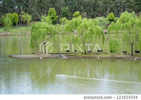 Waterfowl birdhouses on island with trees. Bird family paddles towards island, eco friendly place Waterfowl birdhouses on island with trees. Bird family paddles towards island, eco friendly place 123835034