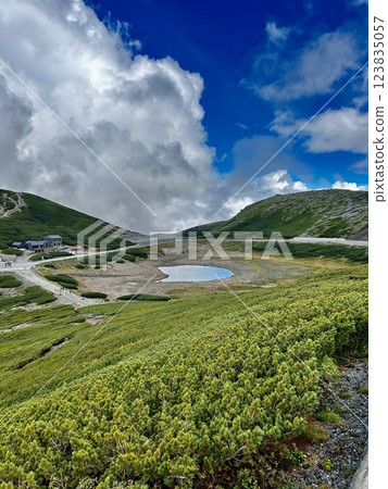 [乘鞍山] 夏天的乘鞍山疊平與池塘 123835057