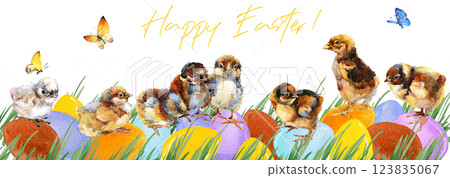 Colorful eggs on the grass and chicks on a white background. Happy Easter card. 123835067