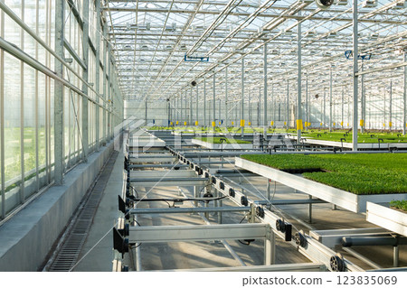 Modern large commercial greenhouse construction producing organic vegetables, lettuce. Agribusiness. Modern large commercial greenhouse construction producing organic vegetables, lettuce. Agribusiness. 123835069