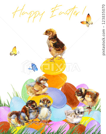 Colorful eggs on the grass and chicks on a white background. Happy Easter card. 123835070
