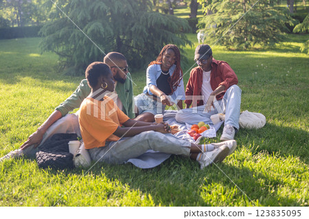 African American friends talk during park picnic, share impressions, relax together and chilling African American friends talk during park picnic, share impressions, relax together and chilling 123835095