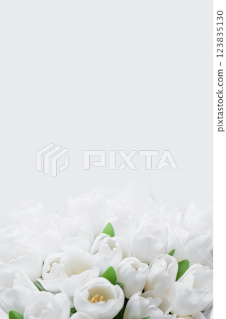 Mothers day, Valentines Day, Birthday celebration concept. Greeting card. Beautiful Bouquet of white delicate tulips. Copy space. Spring background. March 8, International Womens Day 123835130