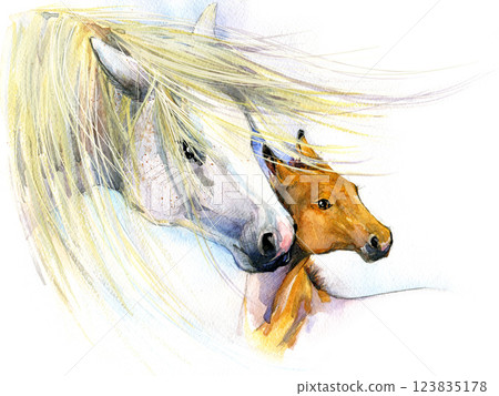 watercolor mare and foal on white. Beautiful hand painted illustration of two horses on the field. watercolor mare and foal on white. Beautiful hand painted illustration of two horses on the field. 123835178