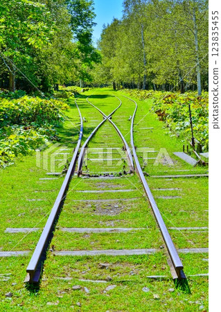 Scenery of the former Horoka Station on the former JNR Shihoro Line 123835455