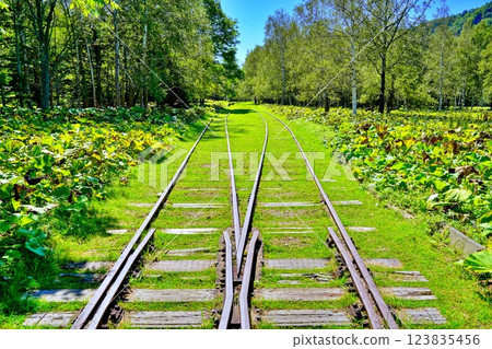 舊日本國鐵士幌線舊幌岡車站的風景 舊日本國鐵士幌線舊幌岡車站的風景 123835456