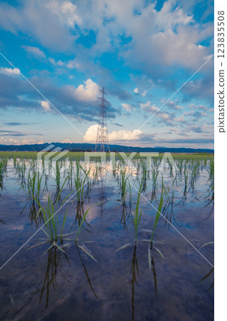 Rural landscape and steel tower 123835508